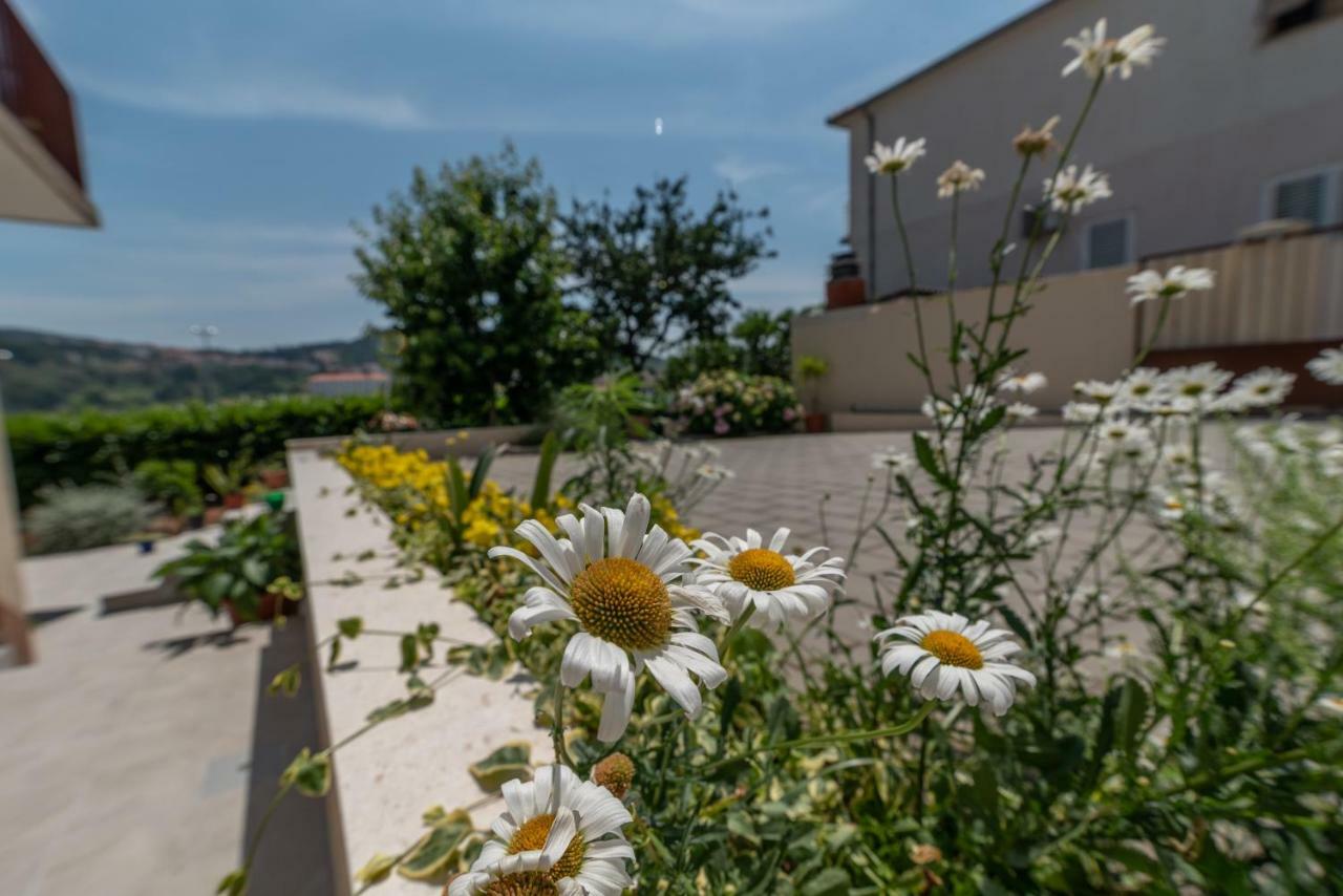 Flora Trogir